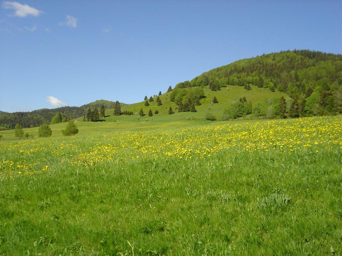 ברנאו אים שוורצוואלד Ferienwohnungen Panoramablick מראה חיצוני תמונה